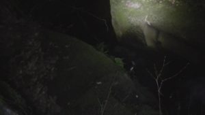 宮崎県都城市にある関之尾滝の隣にある男滝の夜の様子